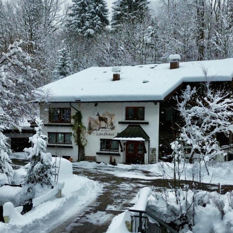 Wohnung Strolch - Ihre Allgäu-Auszeit mit Hund - Apartment mit Balkon - 15