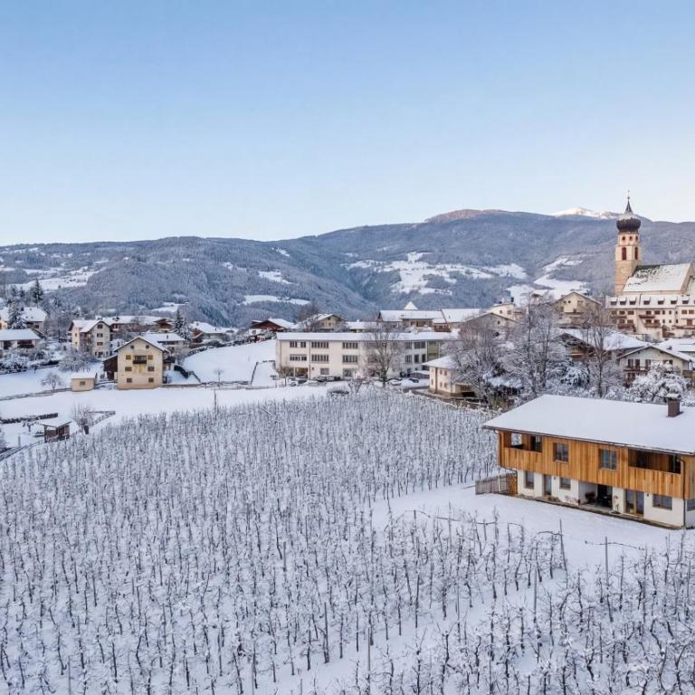 Neuhuberhof - Appartamento con 2 Camere da Letto - 26