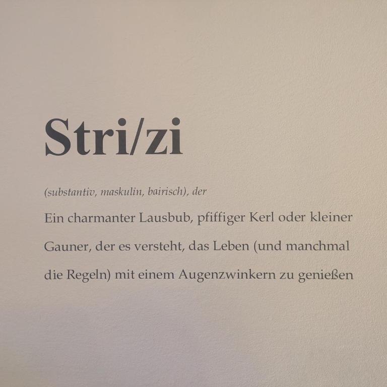 Ferienwohnung Strizi inkl Chiemgau Karte - Loft-Apartment mit 3 Schlafzimmern - 9