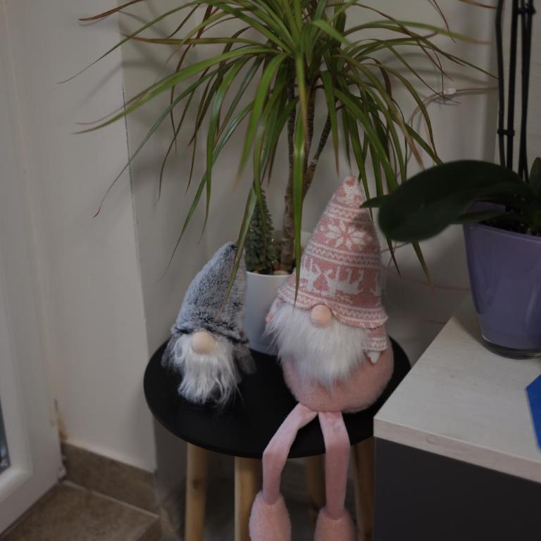 SWEET STUDIO Apartment - One-Bedroom Apartment - 11