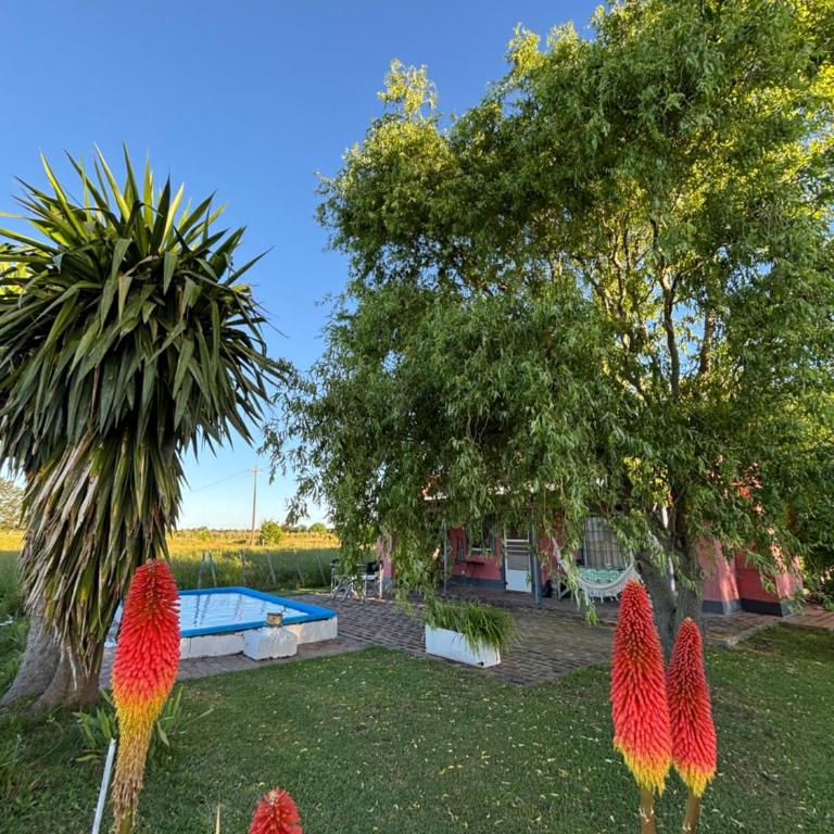 Los Huesos 2 - One-Bedroom House - 1