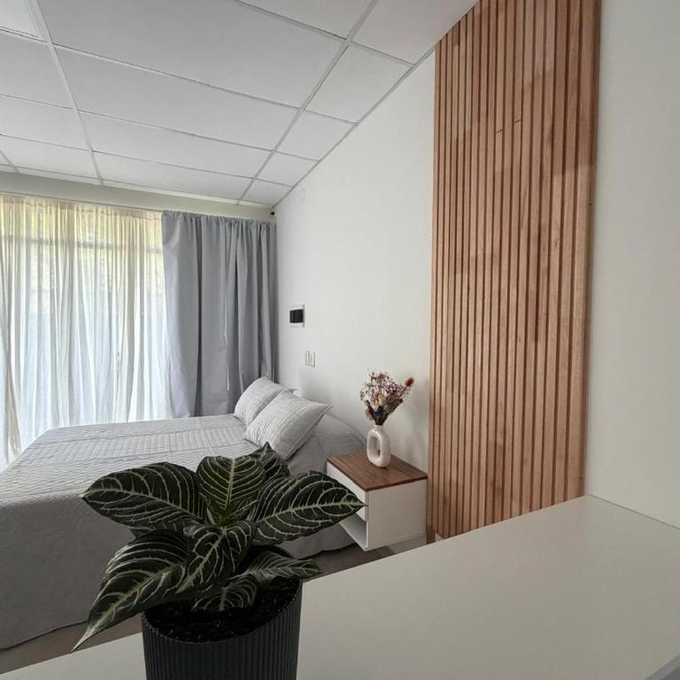 Departamentosenchascomus - Estudio con vistas al jardín - 21