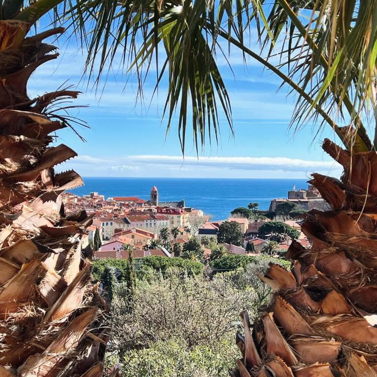 Can Jeannette Vue Mer & Montagne - Collioure - Maison 1 Chambre - 15