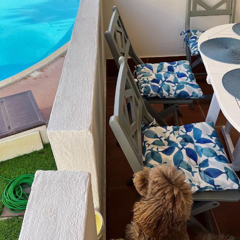 VitaDaMare - One-Bedroom Apartment - 9