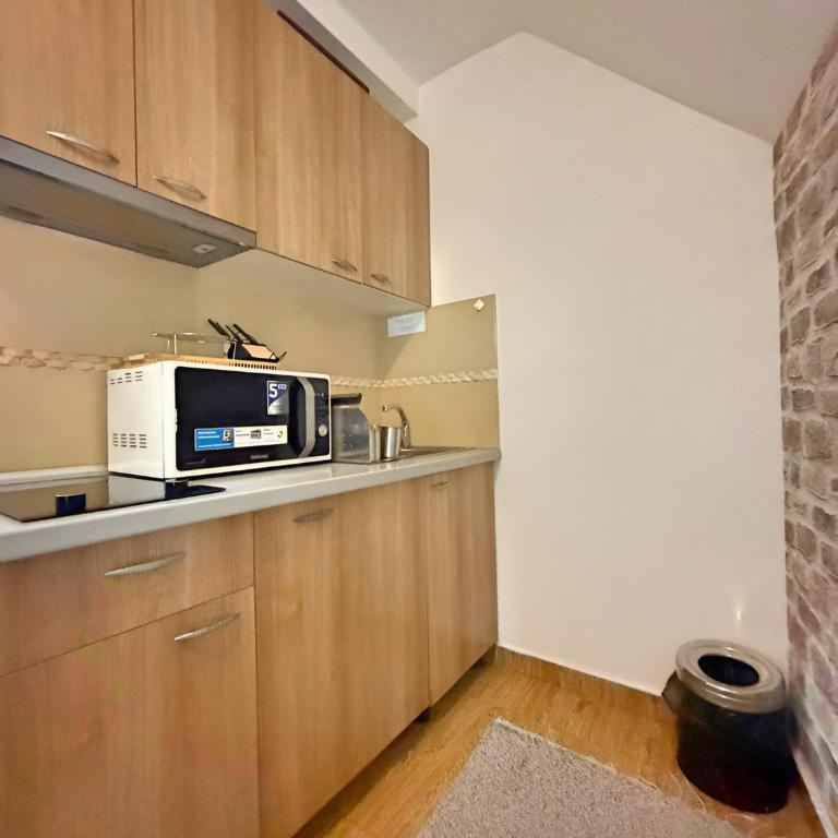 Mujen Lux Tutic - Free Spa & Wellness - Apartment with Mountain View - 4