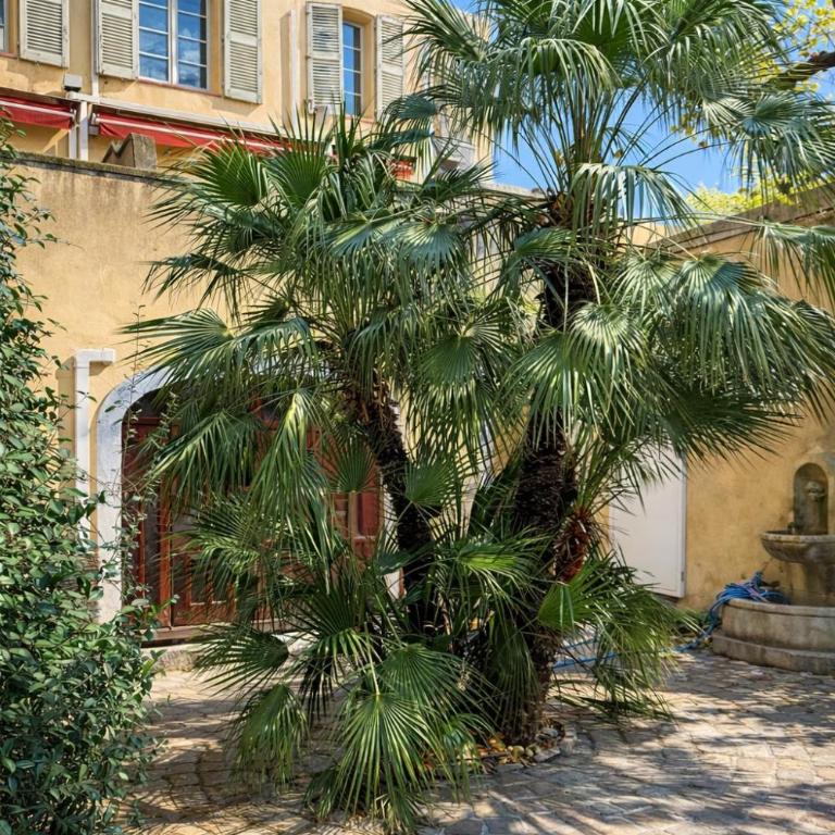 Perle Aix en Provence centre ville - Appartamento con 1 Camera da Letto - 8