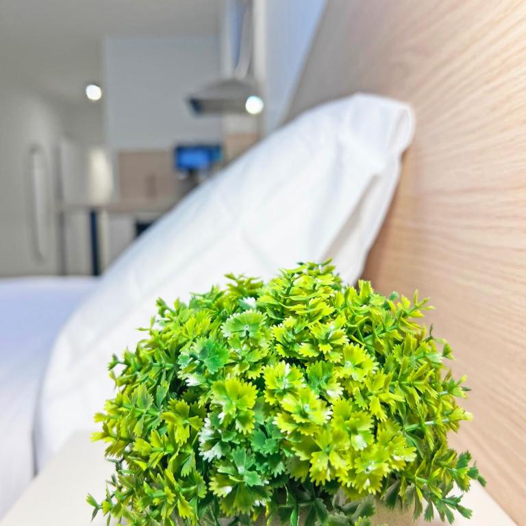 NUEVO -Bogotá Suites- Apartamentos con cocina, AC, 15min del centro a pie - Studio Apartment with Queen Bed - 7