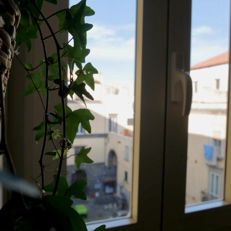 Residenza Caracciolo - Camera Matrimoniale con Terrazza - 18