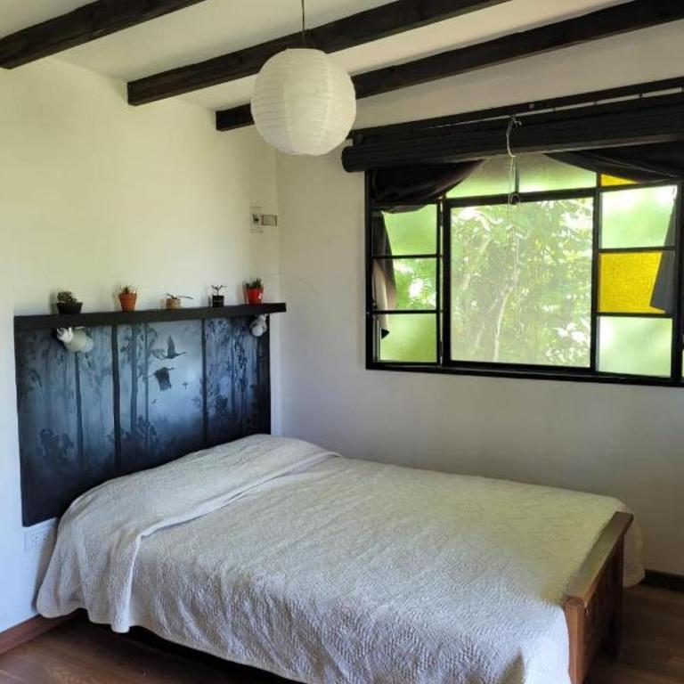 cabaña las casuarinas - Cabaña con vistas al jardín - 9