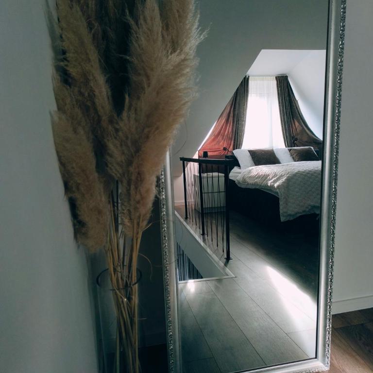 Marigold Premium - Apartman sa 1 Spavaćom Sobom - 5
