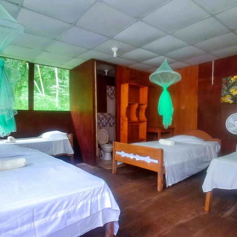 Jacamar Lodge Expeditions - Habitación Cuádruple - vistas al jardín - 2