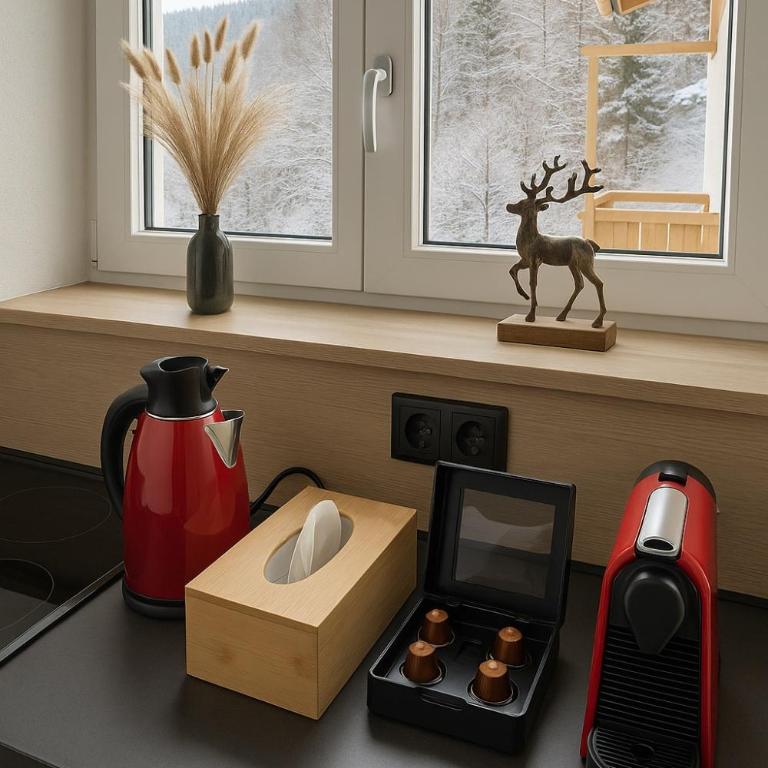 Haus Dienten Apartments nahe den Bergbahnen mit HochkönigCard - Apartment mit 2 Schlafzimmern mit Balkon und Terrasse - 10