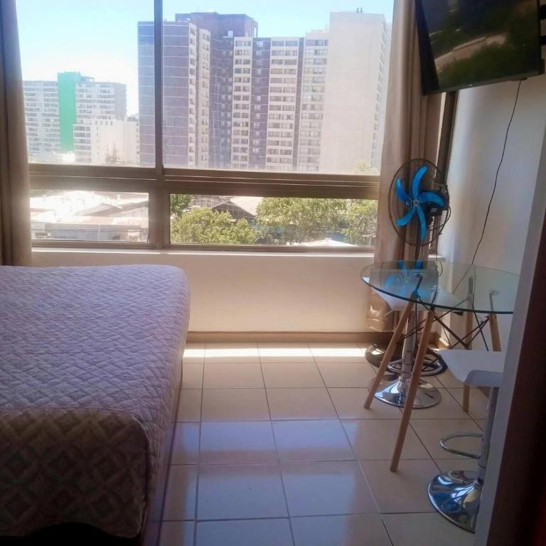 Departamento a pasos del terminal de buses de Santiago, USACH, Escuela PDI, Barrio Meiggs, Estación de trenes EFE y Autopista Gral Velazques - One-Bedroom Apartment - 9