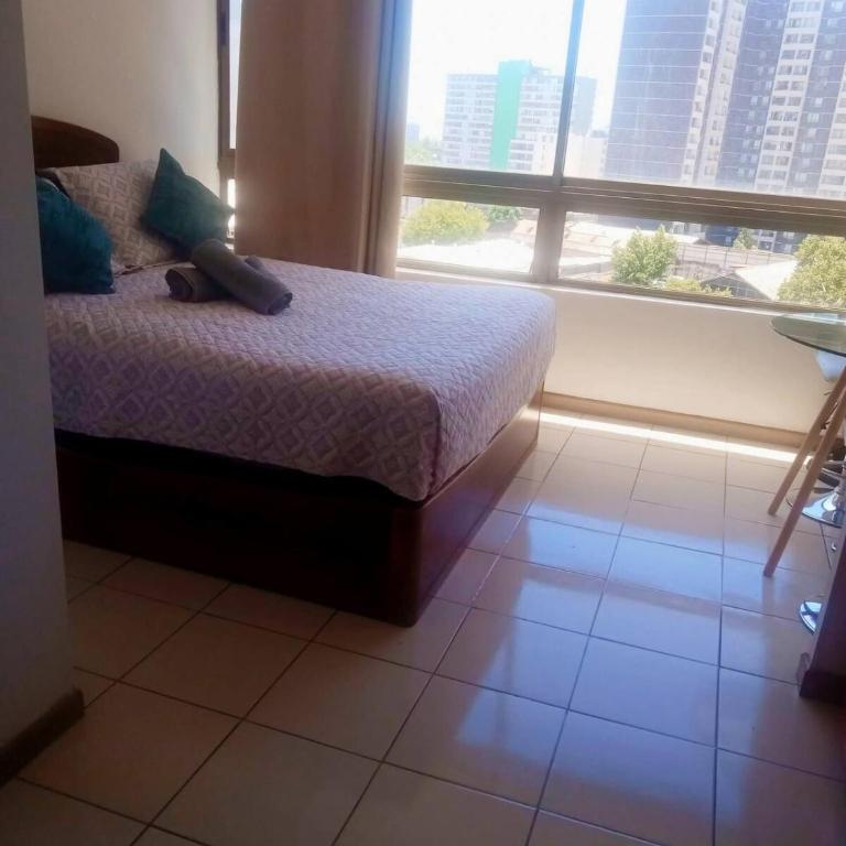 Departamento a pasos del terminal de buses de Santiago, USACH, Escuela PDI, Barrio Meiggs, Estación de trenes EFE y Autopista Gral Velazques - One-Bedroom Apartment - 11