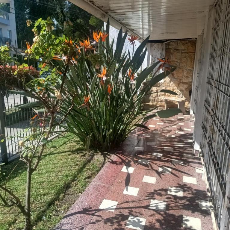 Casa Patagones - Casa de 2 dormitorios - 6