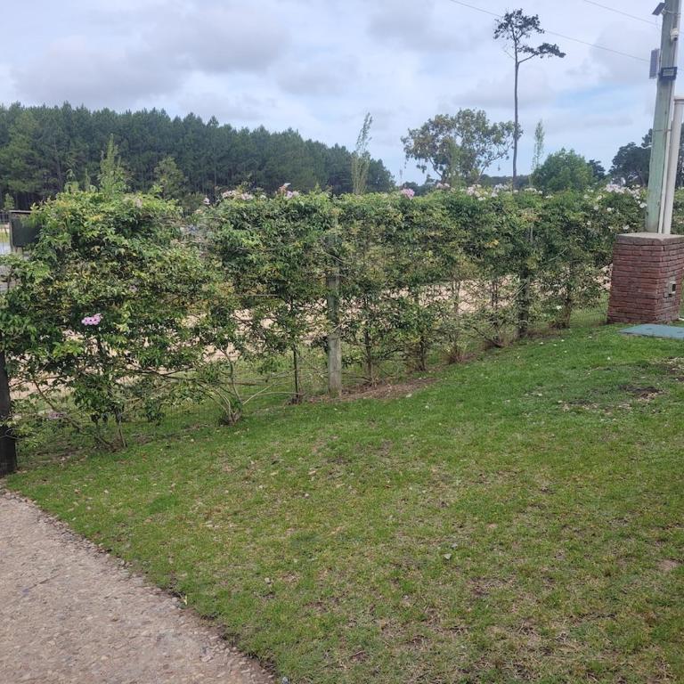 Hermosa casa, tranquila with heated pool and jacuzzi - Room #1548086401 - 29