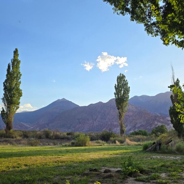 Cabaña Lumen - One-Bedroom Chalet - 8