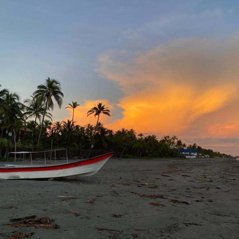CARPE DIEM oceanfront cabin private beach - Three-Bedroom Apartment - 5