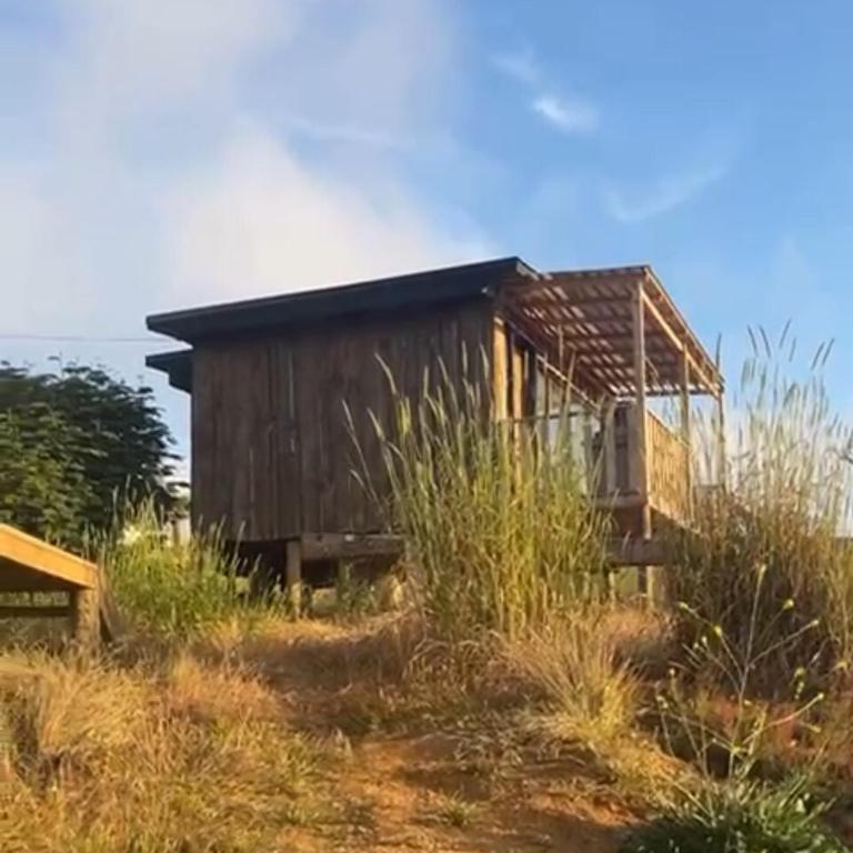 Sanarte en la naturaleza - One-Bedroom Apartment - 5
