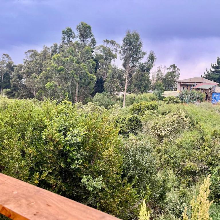 Sanarte en la naturaleza - One-Bedroom Apartment - 18