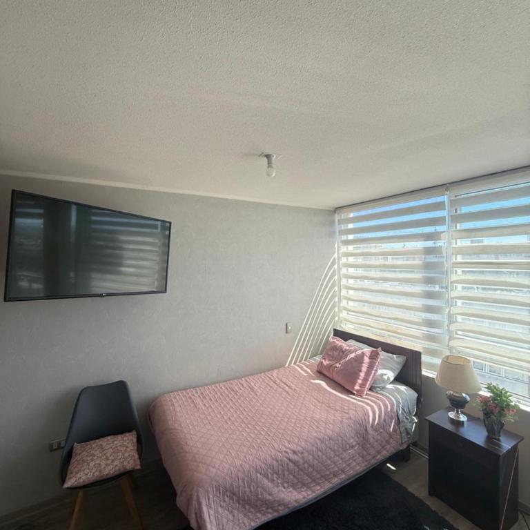 Vista Urbana y Laguna Concepción - One-Bedroom Apartment - 7