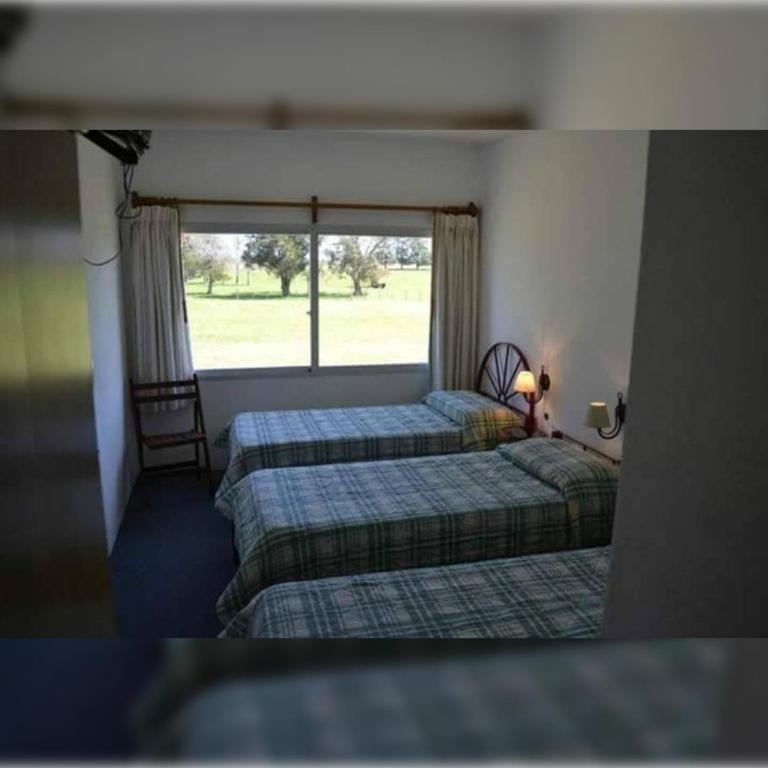 Hotel San Clemente - Room #1548147001 - 11