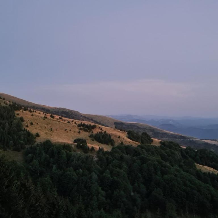 Vila Golija Sky View Kopaonik - One-Bedroom Apartment - 10