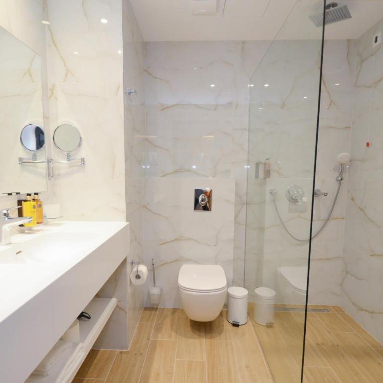 Hotel Aleksandar Conference & Spa - Standard Double or Twin Room - 2