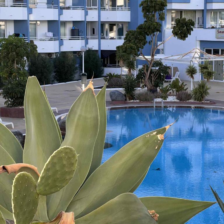 Halászfalu Apartman Green Park Golf del Sur - Apartamento de 1 dormitorio - 20