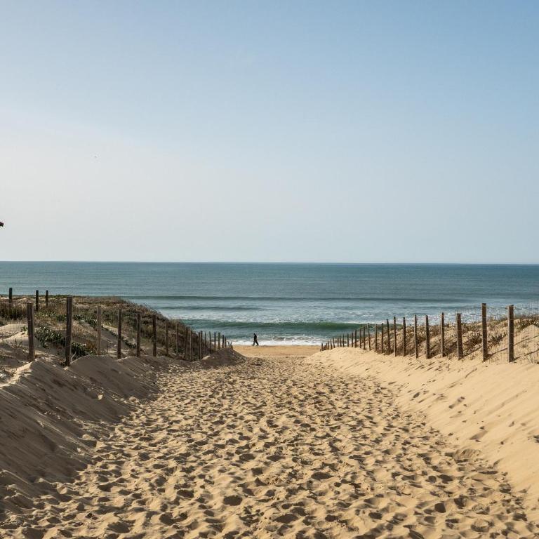 Appartement pour 3 à Mimizan Plage, à 50m de l'océan avec terrasse et parking, ménage inclus - FR-1-50-123 - Appartement - 3