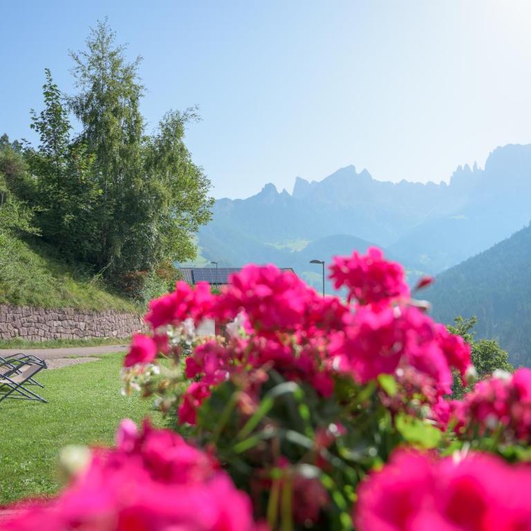 Veraltenhof Bed & Breakfast - Camera Matrimoniale con Balcone - 10