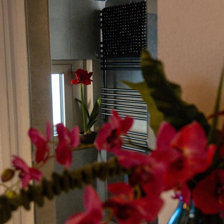 Appartements Cafe Schneider - Apartment mit 3 Schlafzimmern und Dusche - 45
