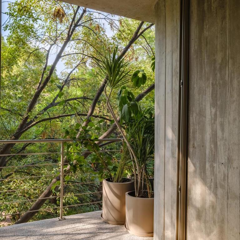 PAR 504 - Apartment - 81