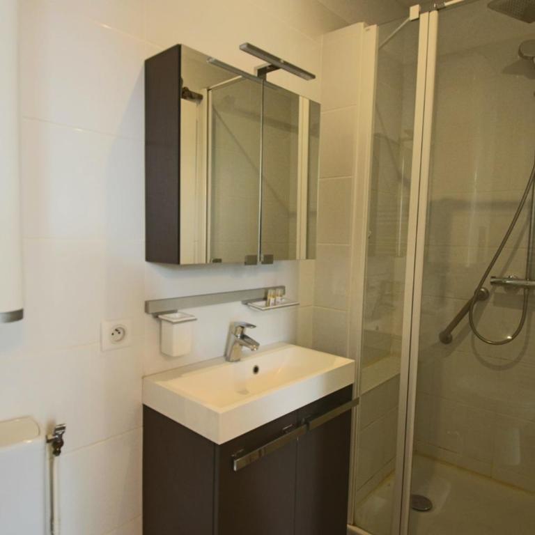 Lumineux studio meublé au centre-ville - Appartement 1 Chambre - 8