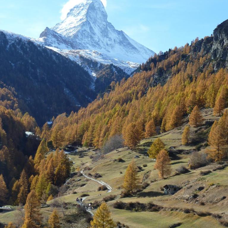 Zermatt Panoramic View Flat - Apartment mit Blick auf die Berge - 11