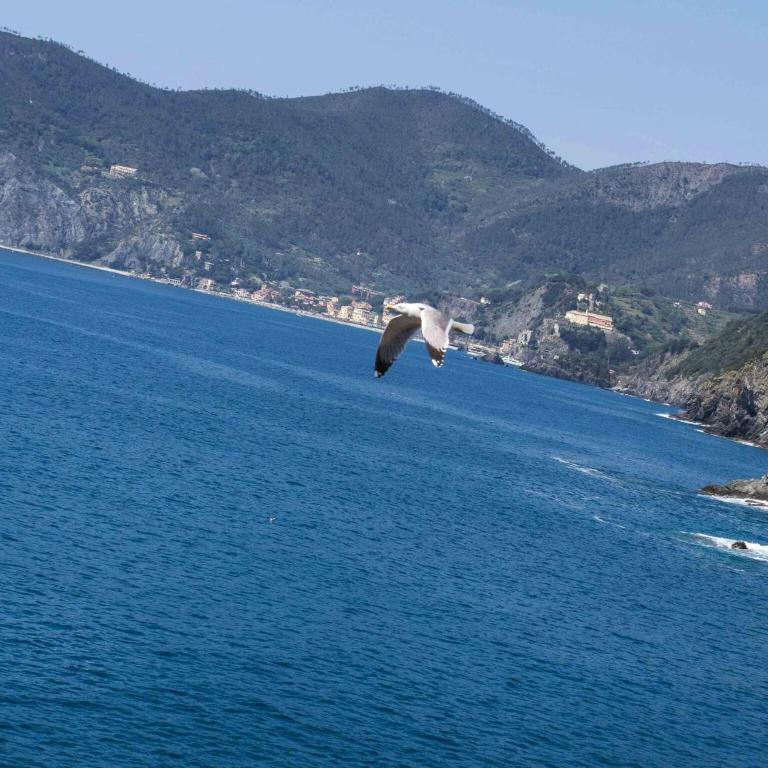 Ventegà Sea View Apartment with Balcony - Appartamento con 2 Camere da Letto - 28