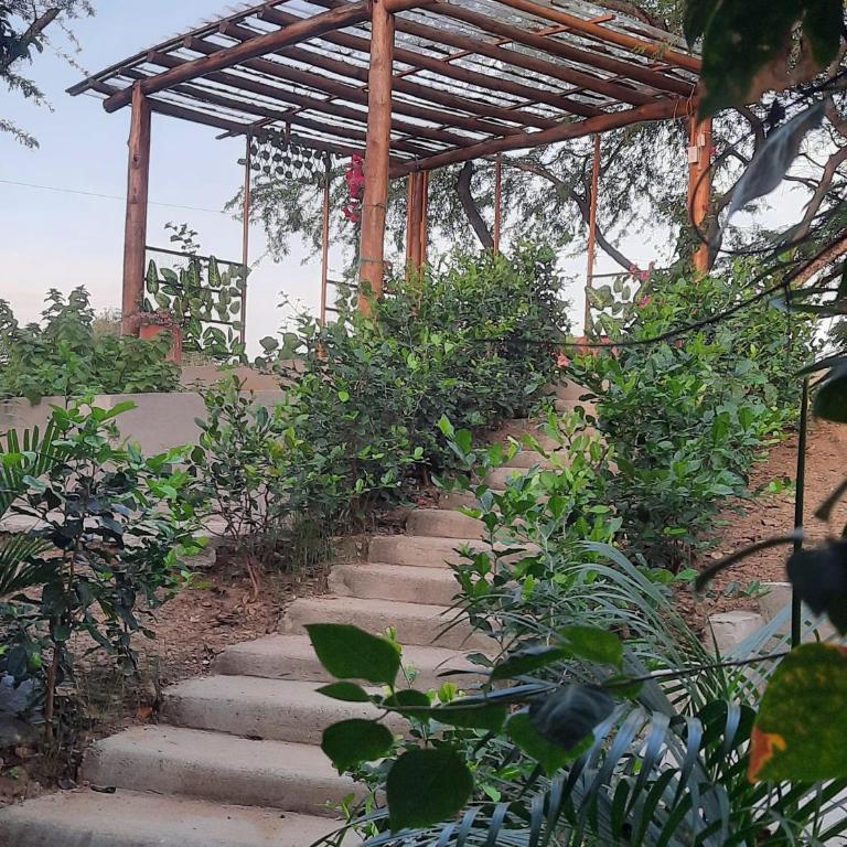 KAZA Balcones - Bungalow - 13