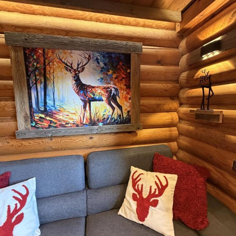 LE GRAND CERF Chalet en rondins avec SPA Jacuzzi - Chalet - 22
