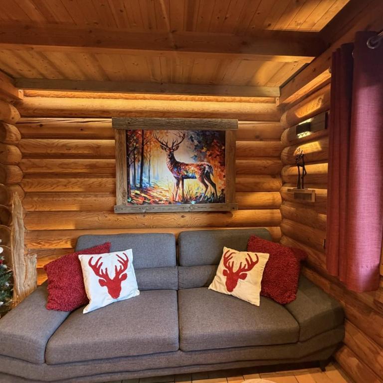 LE GRAND CERF Chalet en rondins avec SPA Jacuzzi - Chalet - 35