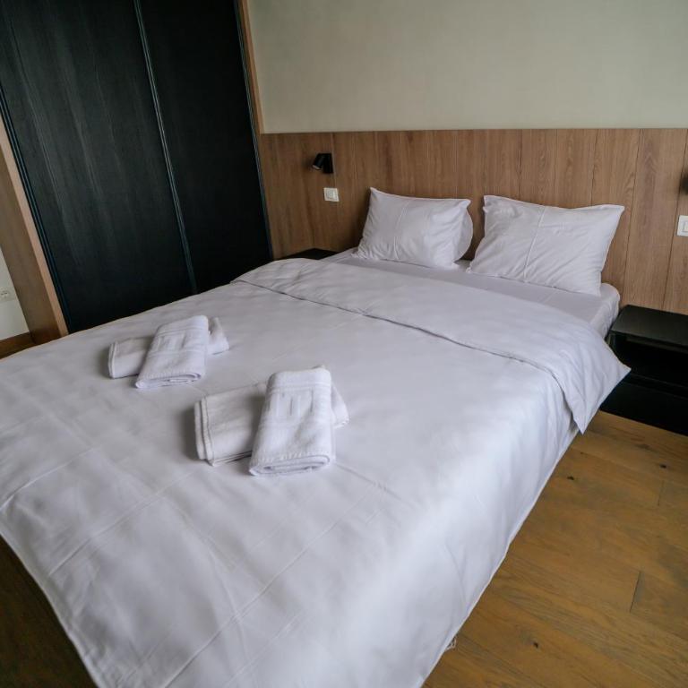 Zlatibor Pine & Peak - One-Bedroom Apartment - 13