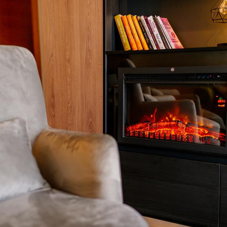 Zlatibor Pine & Peak - One-Bedroom Apartment - 22