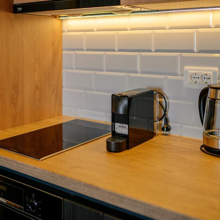 Zlatibor Pine & Peak - One-Bedroom Apartment - 11