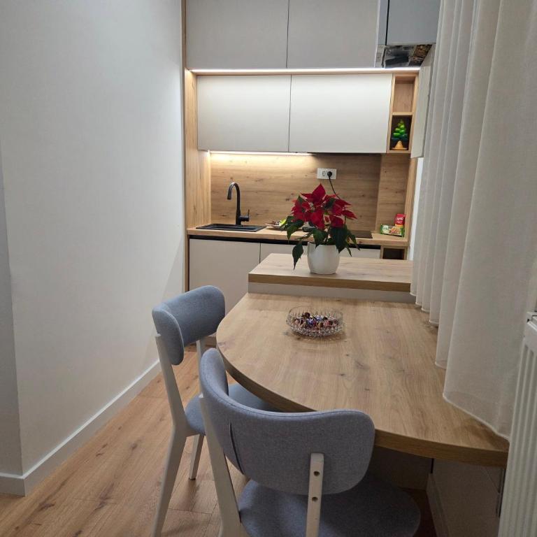 Sarajevo City Center Apartment near Presidency - Apartman sa 1 Spavaćom Sobom - 20