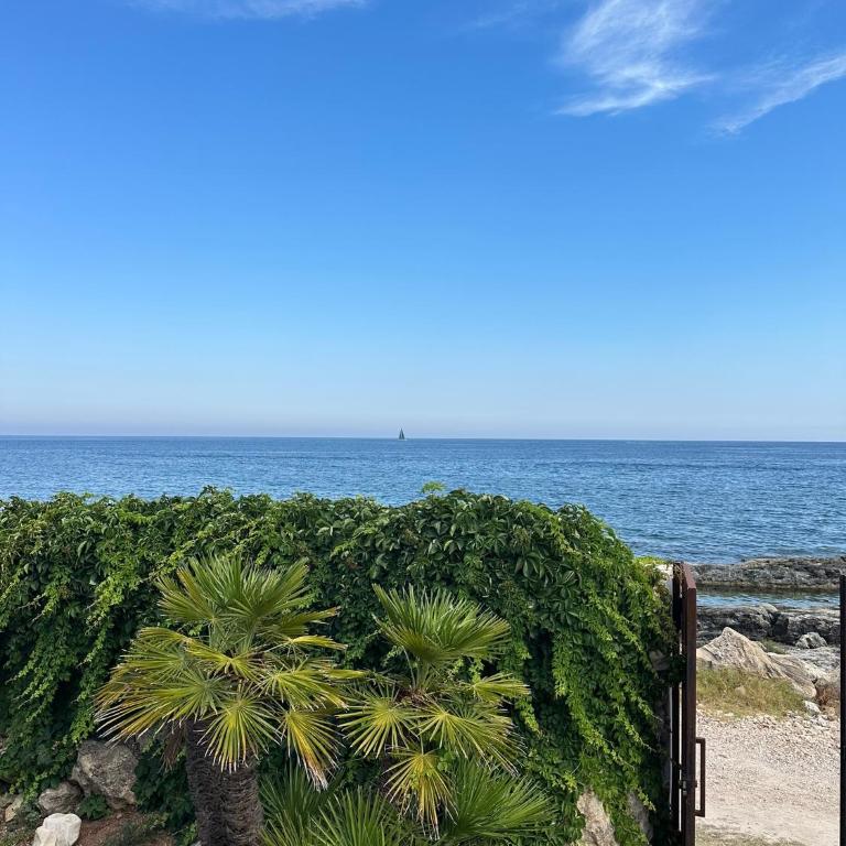 Villa fronte mare a Fontane Bianche con accesso diretto al mare - Two-Bedroom Apartment - 27