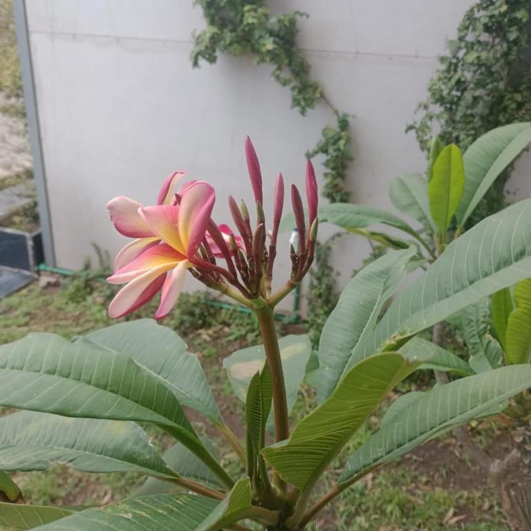 La casa de Emma - Apartamento de 2 dormitorios - 24