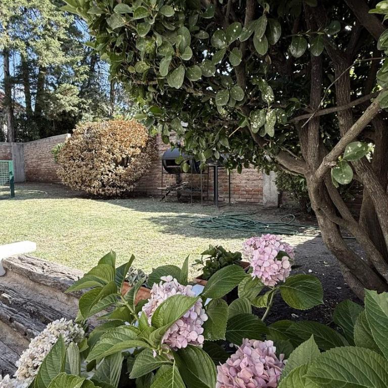 CABAÑA PREMIUM - Casa con 1 dormitorio - 28