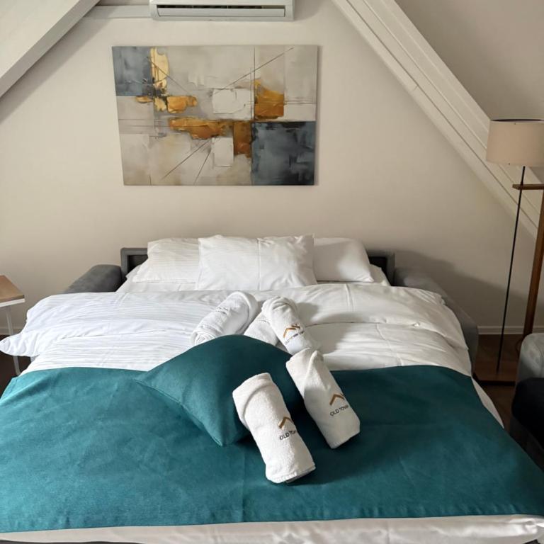 Old Town Loft Sarajevo, with Free Parking - Apartman sa 2 Spavaće Sobe - 18