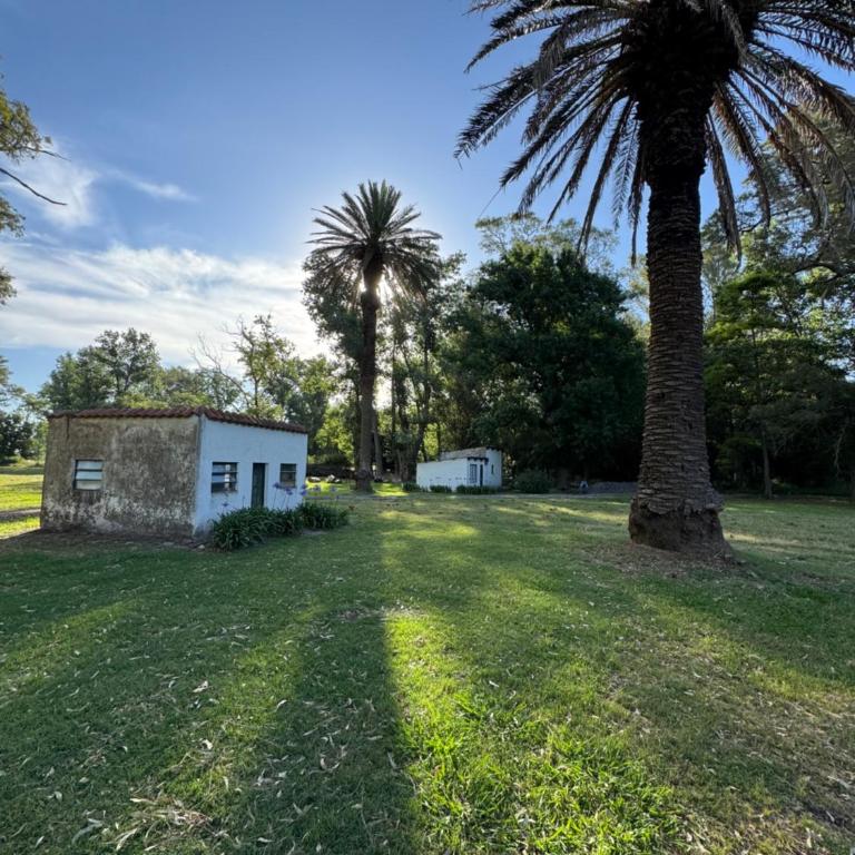 Casa del monte - One-Bedroom Chalet - 34