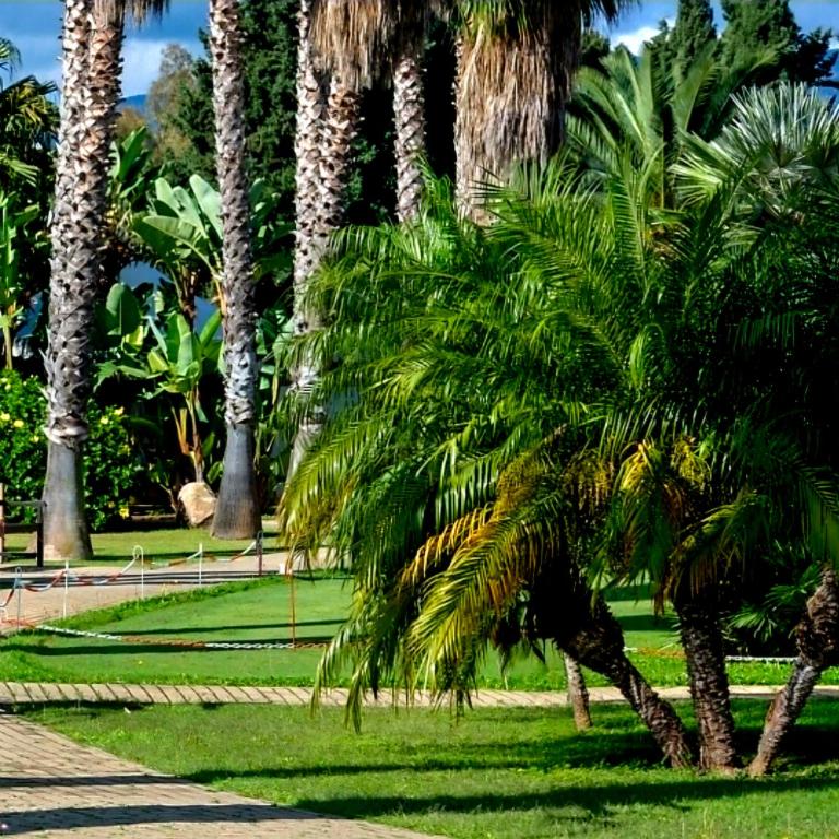 Lantana Resort 1Bed Apartment Beach Pool & Balcony - Appartamento - 40