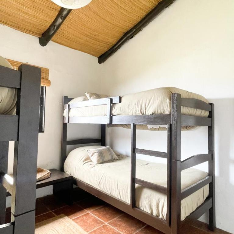 El Bonito Hostel - Bed in 4-Bed Dormitory Room - 7